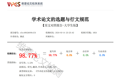原文对照报告