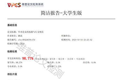 简洁报告